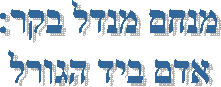 מנחם מנדל בקר:
אדם ביד הגורל