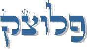 פלוצק