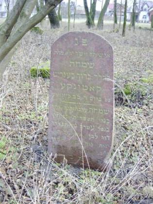 The Jewish Cemetery of Wysokie Mazowiecki Today (2003)